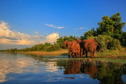 Kruger National Park, South Africa