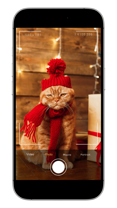 Iphone - Cat - Image