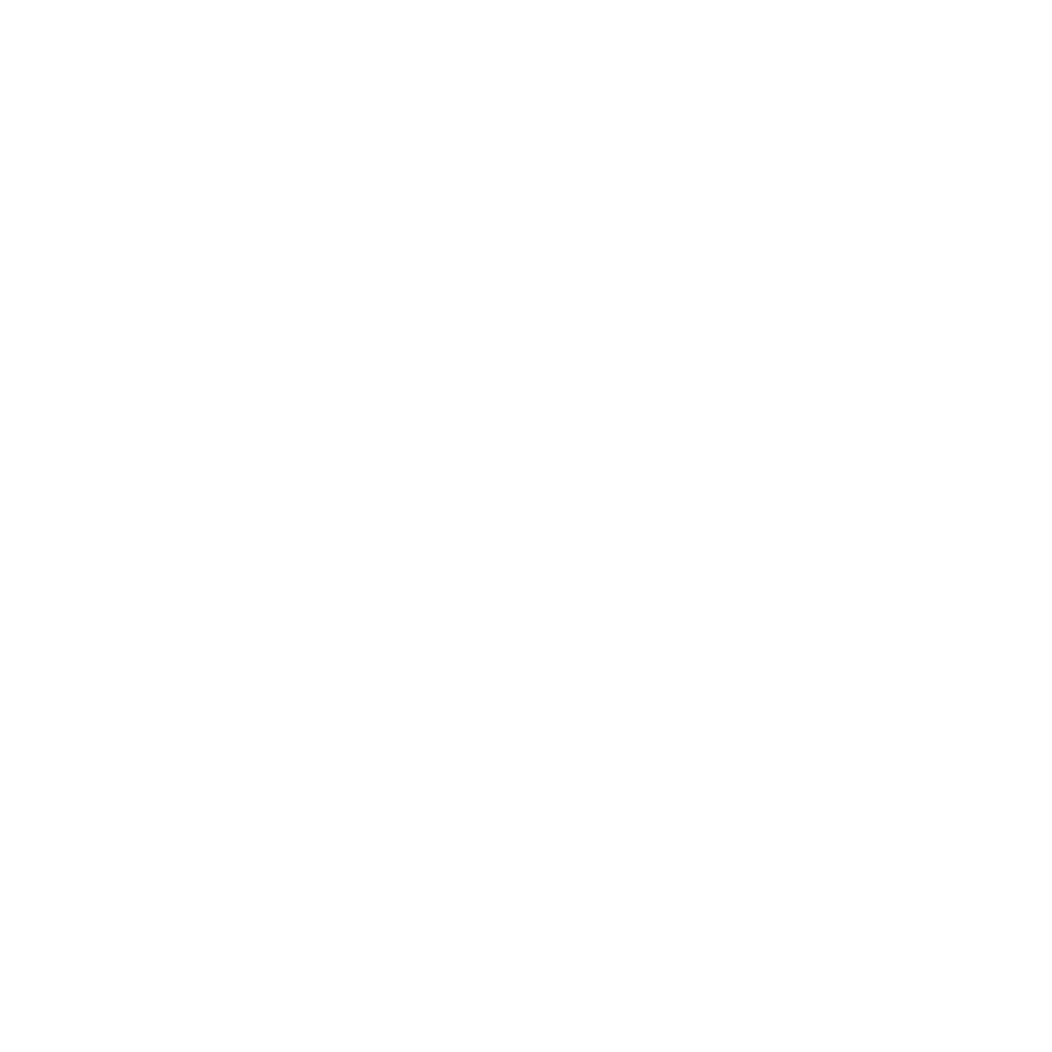 Expenditure Icon