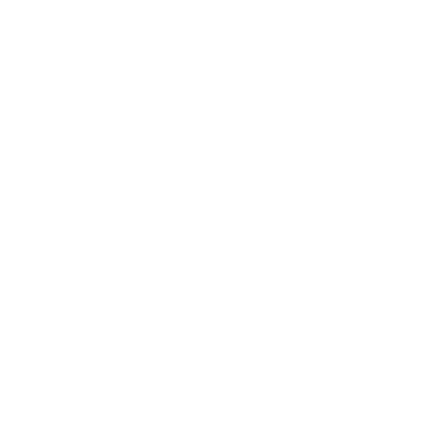 Revenue Icon